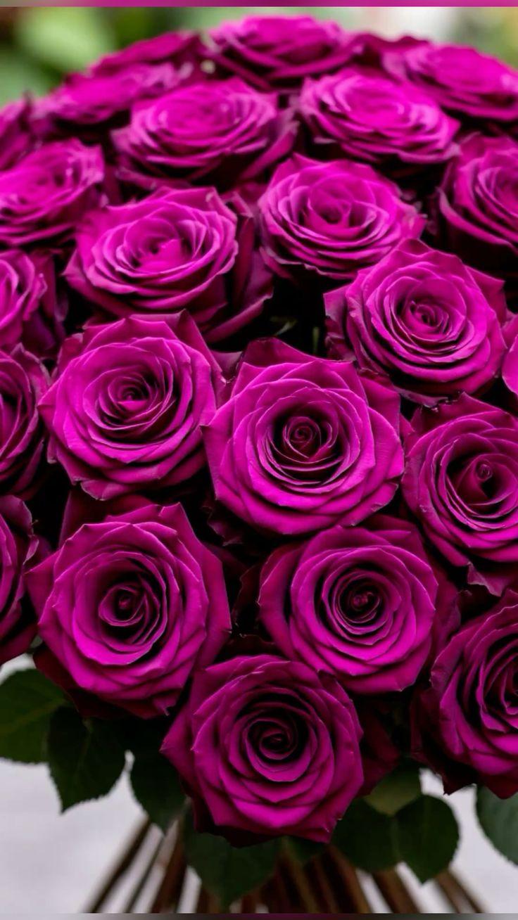 GoldenCornerHub workshop space where corporate flower arrangements are designed and prepared for business delivery